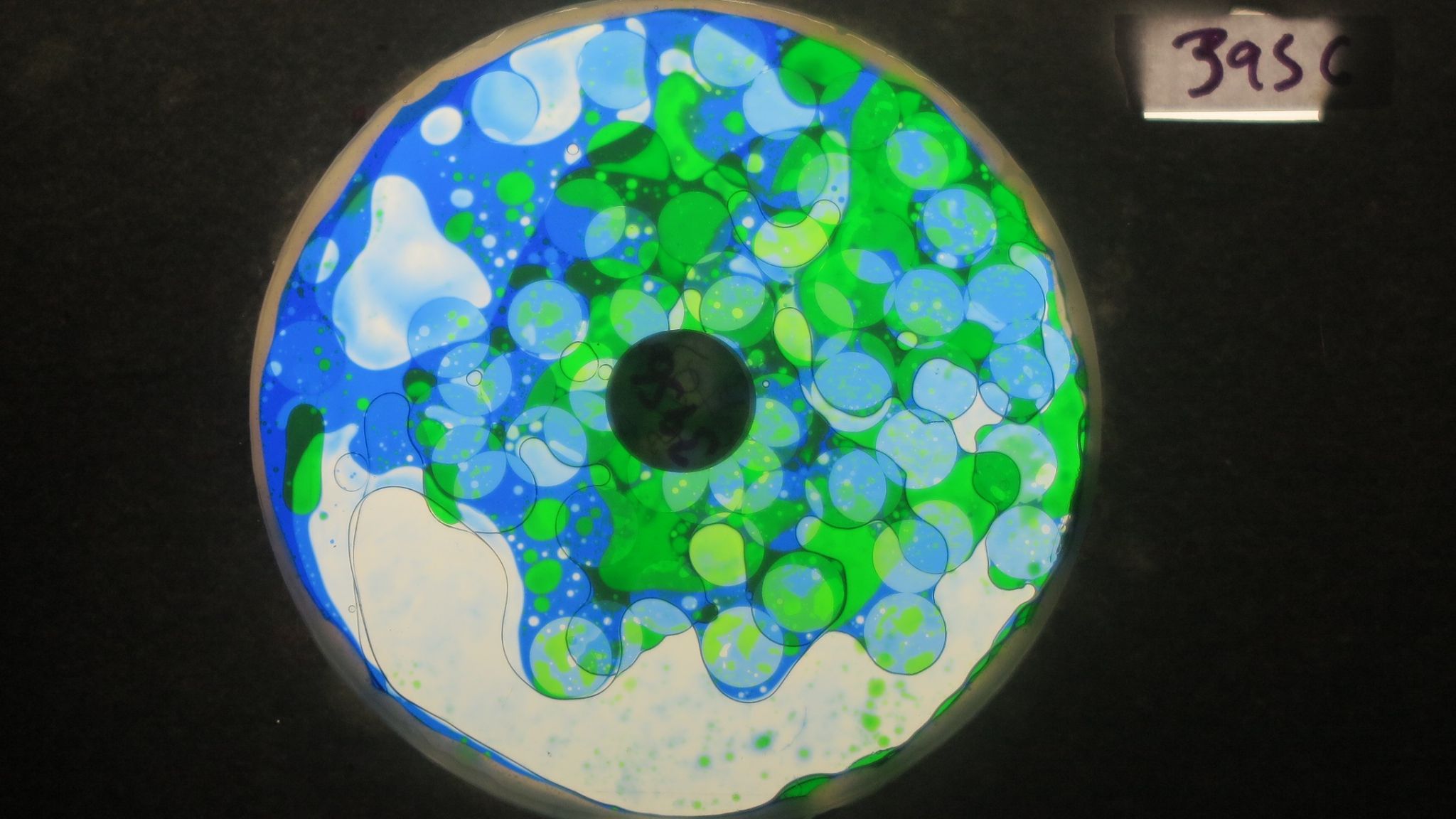 BV3956 bubble vision oil wheel